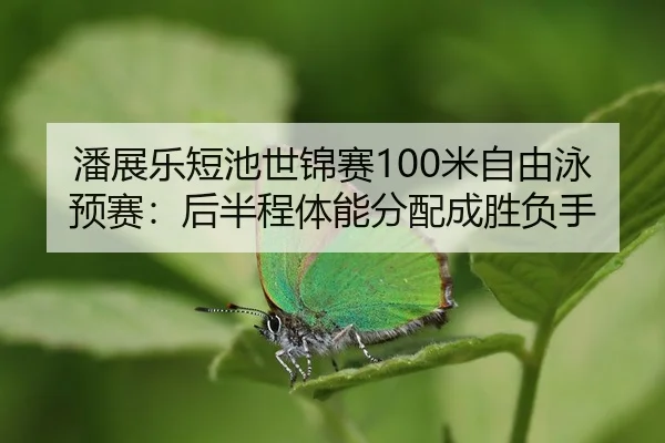 pan-zhan-le-duan-chi-shi-jin-sai-mi-zi-you-yong-yu-sai-hou-ban-cheng-ti-neng-fen-pei-cheng-sheng-fu-shou-2-151.jpg
