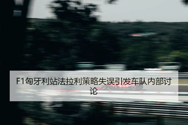 xiong-ya-li-zhan-fa-la-li-ce-lve-shi-wu-yin-fa-che-dui-nei-bu-tao-lun-2-108.jpg