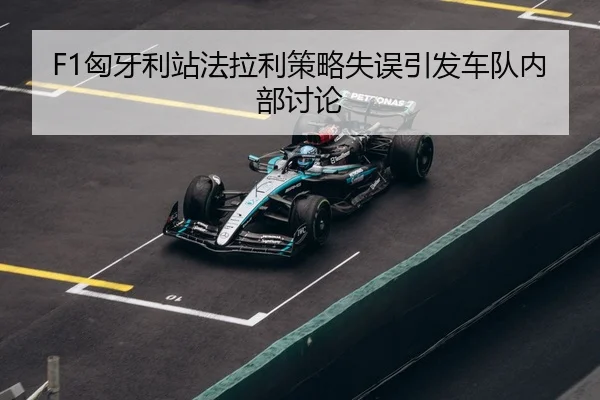 xiong-ya-li-zhan-fa-la-li-ce-lve-shi-wu-yin-fa-che-dui-nei-bu-tao-lun-3-445.jpg