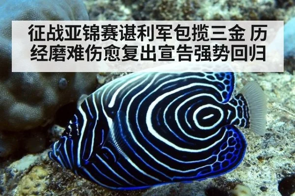 征战亚锦赛谌利军包揽三金 历经磨难伤愈复出宣告强势回归