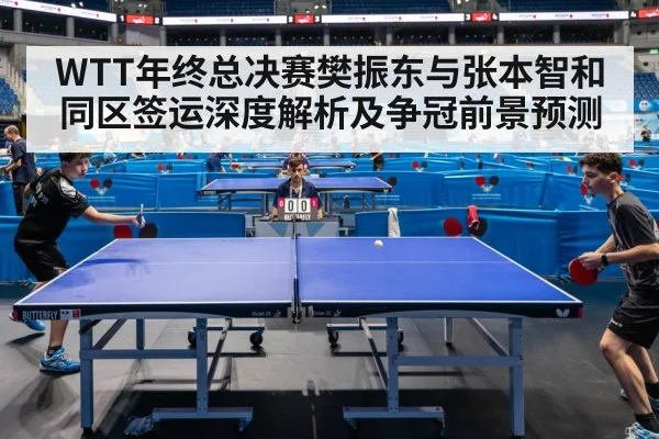 WTT年终总决赛樊振东与张本智和同区签运深度解析及争冠前景预测