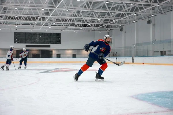 NHL常规赛油人对加人麦克戴维与彼得森对决分析冰球焦点战